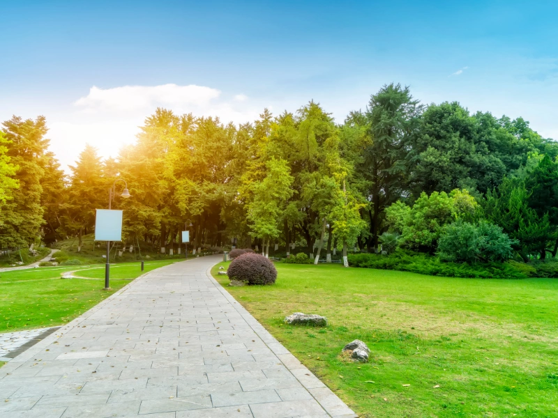 aménagement extérieur à Poitiers
