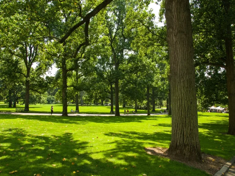 service d’arrosage dans le 86