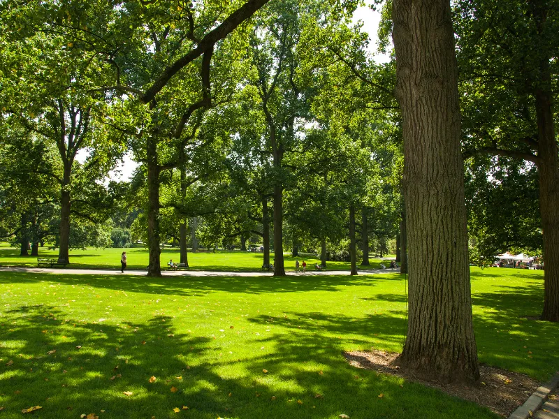 entretien d’espaces verts dans le 86