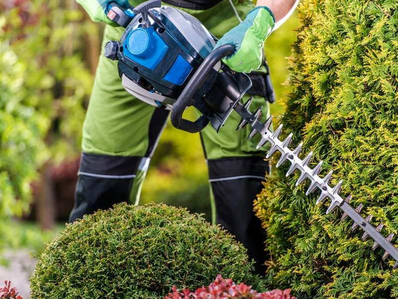 bureau d’études paysager en Vienne