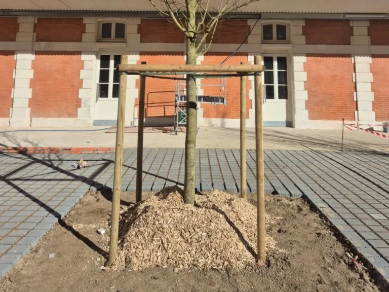 bureau d’études paysager dans le 86