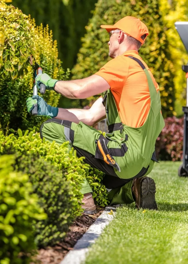 paysagiste à Poitiers