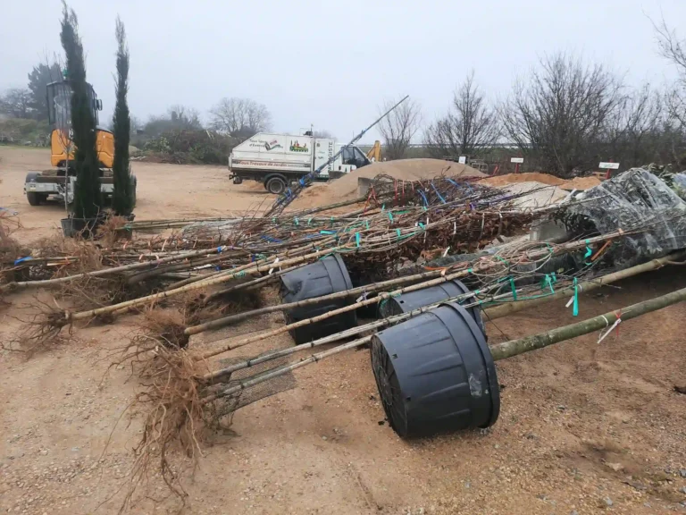 service d’arrosage en Vienne