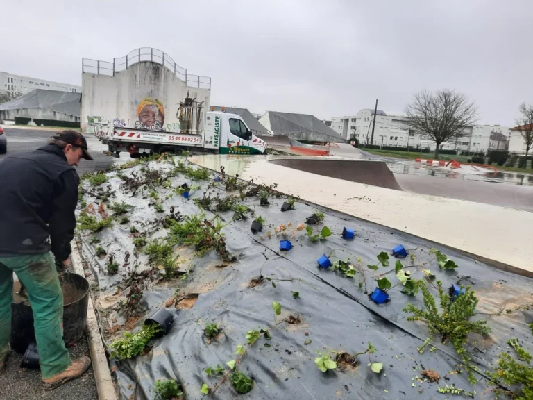 entretien d’espaces verts en Vienne