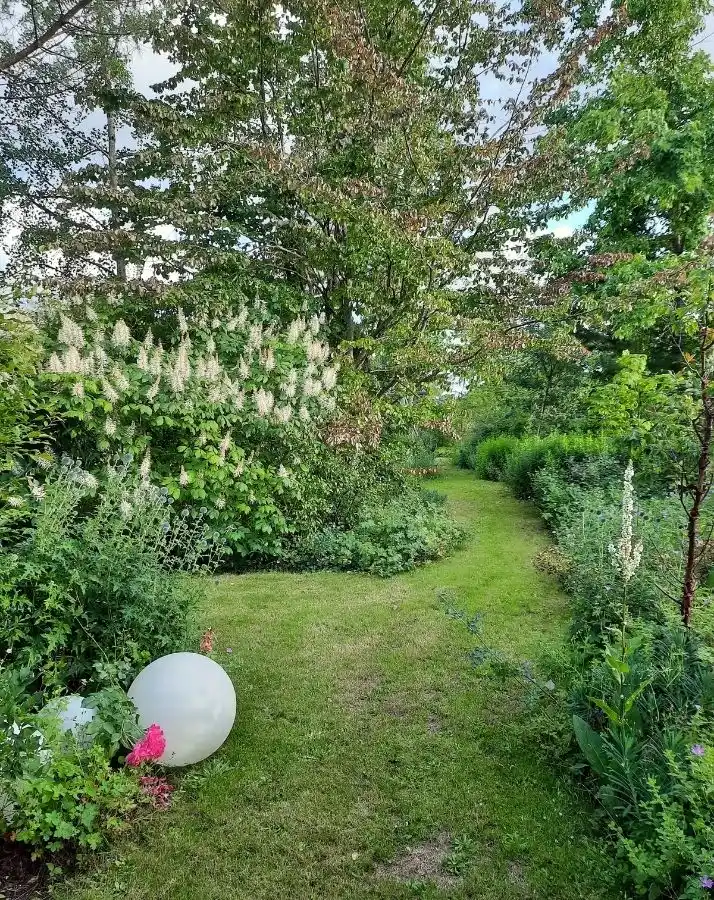 service d’arrosage en Vienne