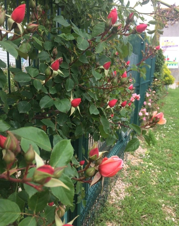 paysagiste à Poitiers