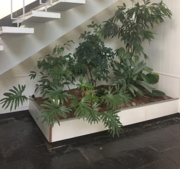 aménagement extérieur à Poitiers