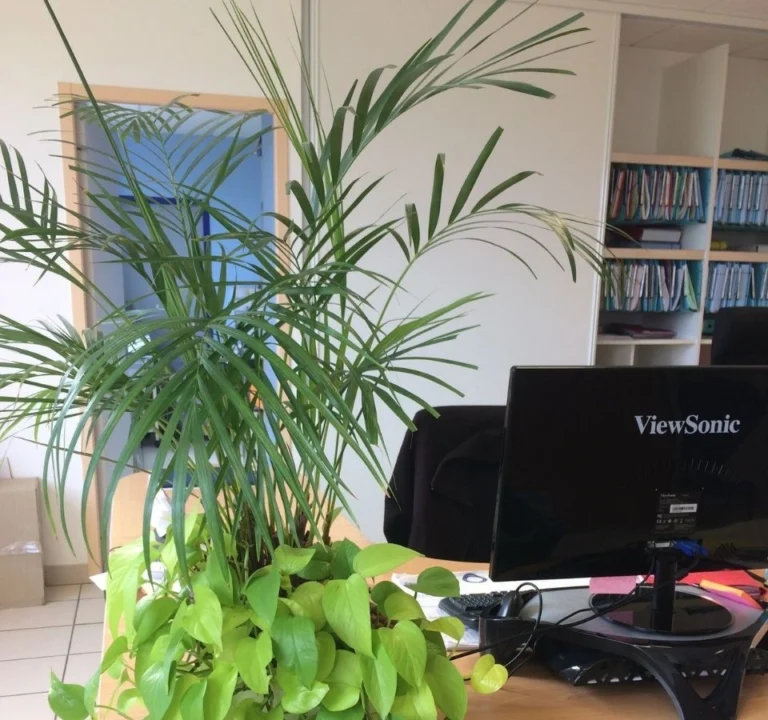 bureau d’études paysager à Poitiers