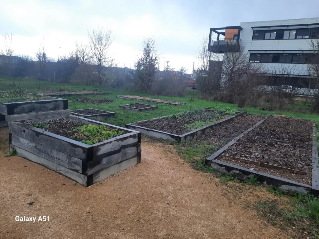 entretien espaces verts à Poitiers