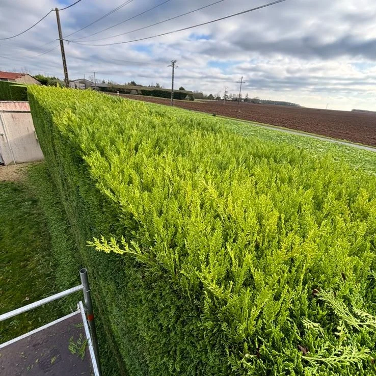 entretien espaces verts à Poitiers 86