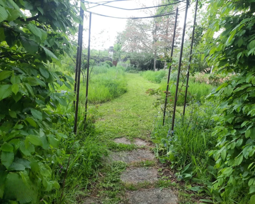 entretien espaces verts 86