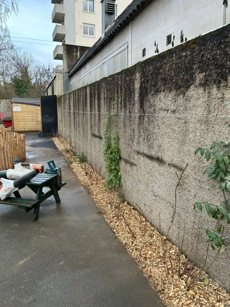 bureau d’études paysager à Poitiers